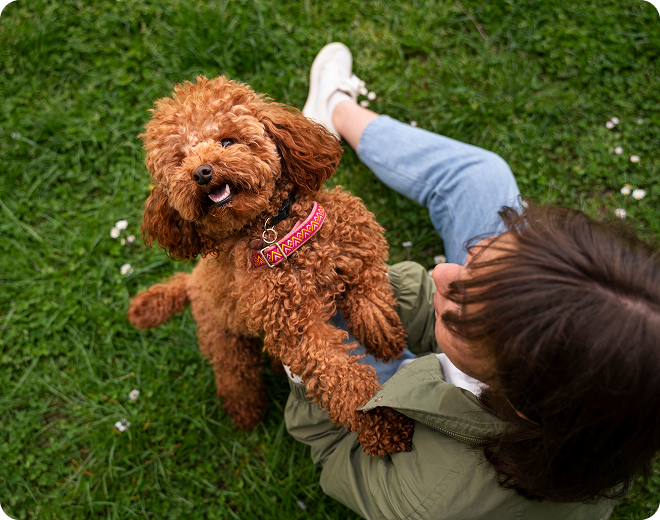 Firefighter-owned pet waste removal company