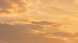 20f02d55518030b230794d175db72eea4d2f9980.png