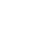 plane 1 (2).png