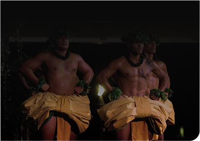 Toa Lūʻau — official venue photograph.