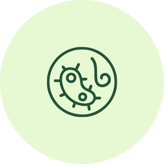 Group 1487672117 (2).png