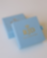 Rectangle 34624976 (13).png