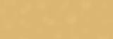 Rectangle 2.png