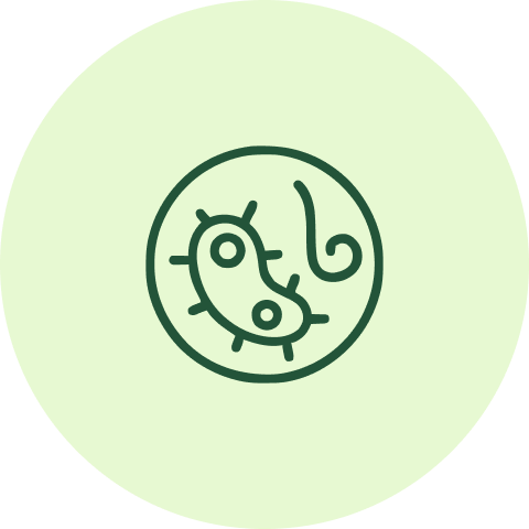 Group 1487672117.png