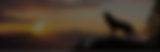 Rectangle 34624984 (2).png