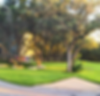image (85).png