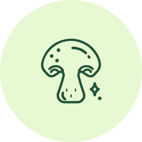 Group 1487672101.png