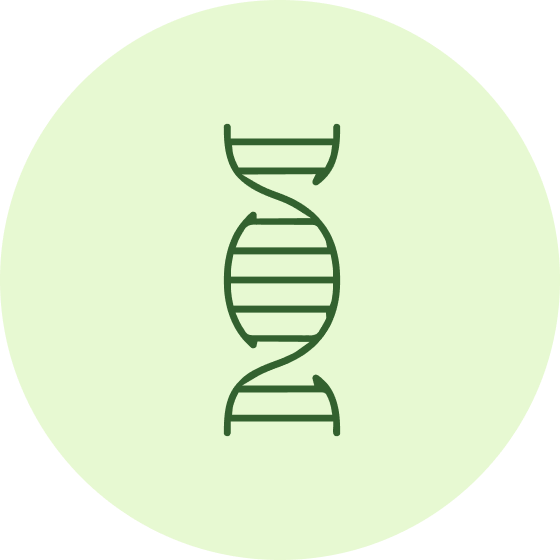 Group 1487672124.png