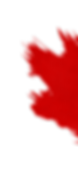 red graphic