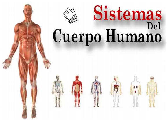 Imagen representativa