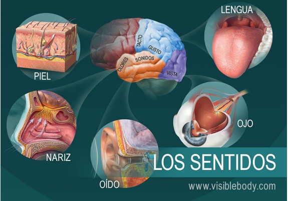 Imagen representativa