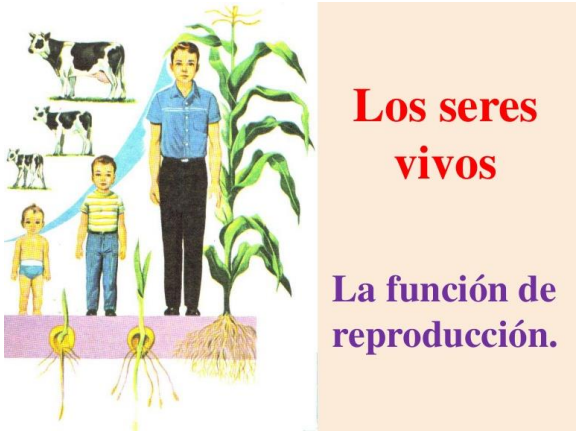 Imagen representativa
