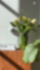 F0C42766-F6A0-4B7E-BDCE-C59ADC5BEF58_1_201_a.jpeg