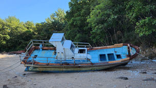 E-8 비자의 한계성과, 좀 더 유연한 예외 정책을 말해야 하는 이유