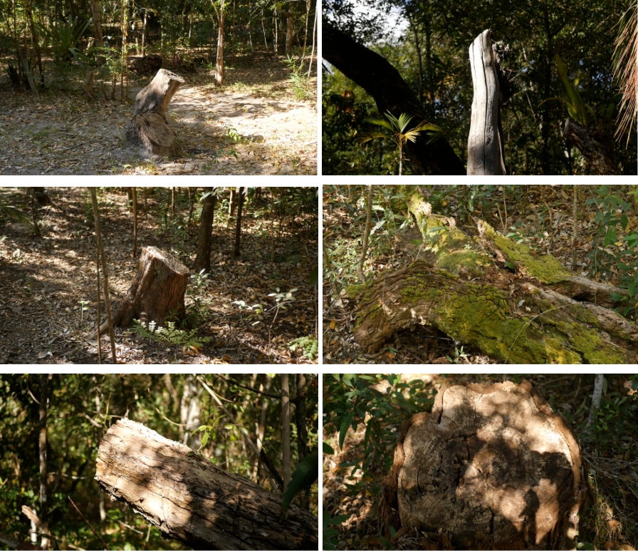 (4) Pesquisa fílmica AS PONTES; O corpo que cai