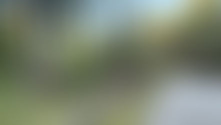 Mary's Pause, My Reminder