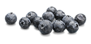 Blueberry1.png