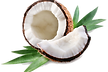 coconut 7.png