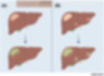 Fig 7