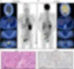 Fig7