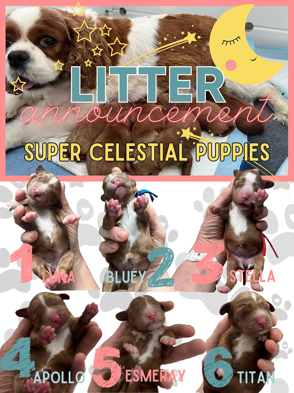 celestial puppies