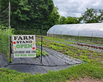 Farm Stand_edited.jpg