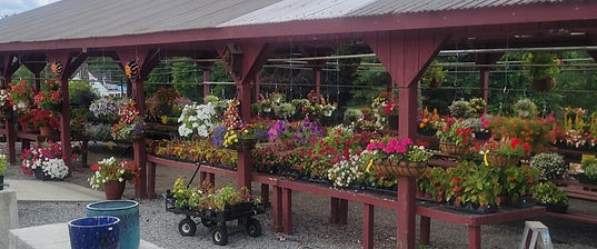 Birkshire Nursery 1_edited.jpg