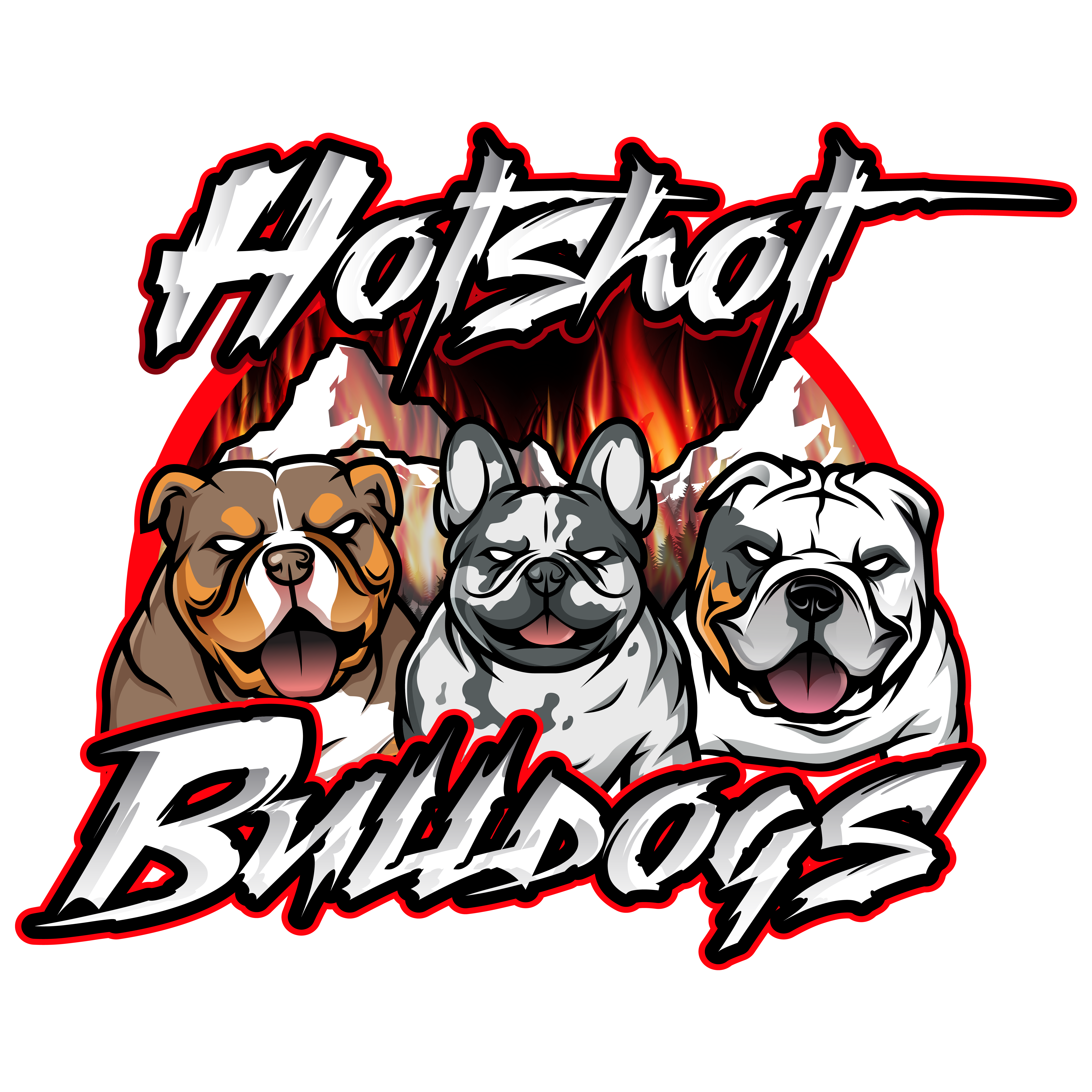 Hotshot Bulldogs | Dog Breeder