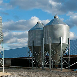Feed bin.jpg