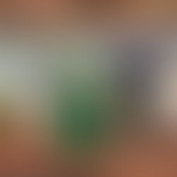 Phenomenal Plants $10