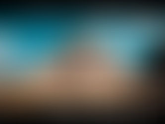 2021年十二月份豆單公告: