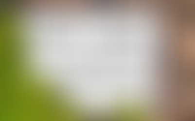 Don’t Wait for Summertime to Spruce up Your Yard