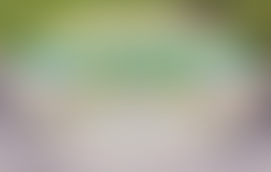 Create Harmony with Transition Zones in Your Landscape