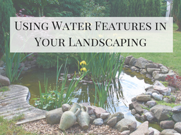 Using Water Features in Your Landscaping