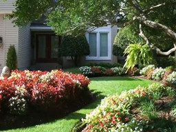 Artificial Grass - Here are the Grass Facts