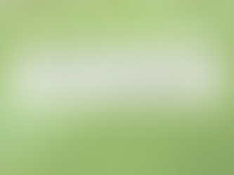 Getting Ready for Fall: 4 Lawn Tips