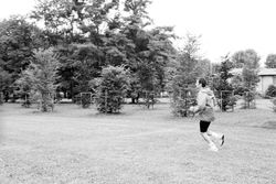 Il cerchio del tempo