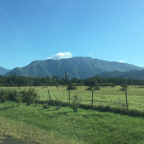 En route pour la brousse 