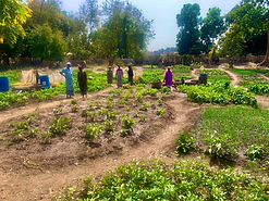 Elderly Women's Garden