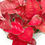 Thumbnail: Aglaonema Red Star