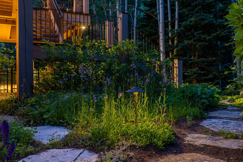 1287-Vail-Valley-21