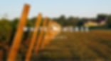 White Horse Winery