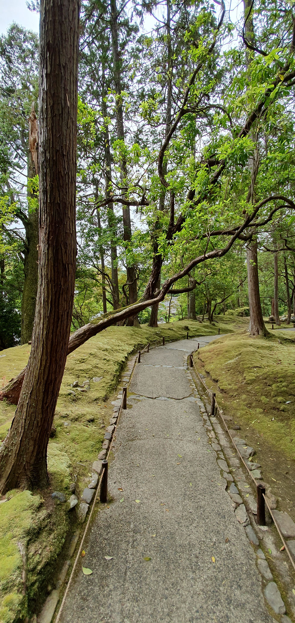 20190518_110251.jpg
