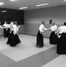 Cours aikido