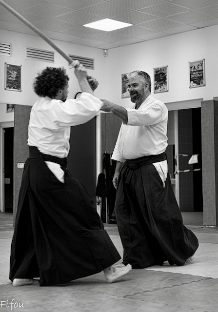 irimi, aikido, bokken, résolution de conflit