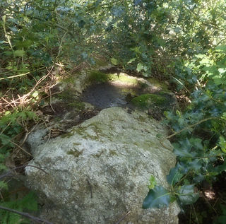 DSCN0596.jpg