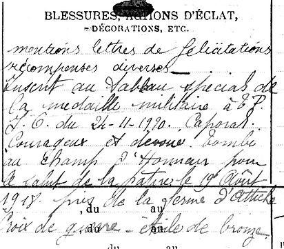 Arzel Gabriel Auguste Marie Lampaul ploudalmezeau patrick milan anne appriou guerre 1914 1917 14 18 patrimoine histoire plouguin finistere