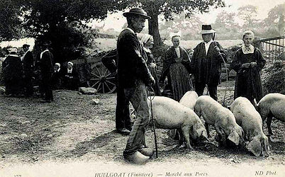 Retro29 Finistere _04.jpg