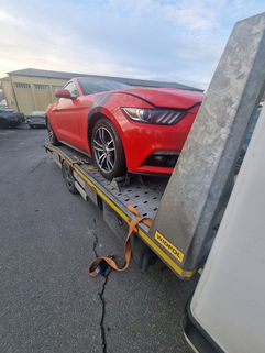 PHOTO-2023-02-26-12-56-19 (3).jpg