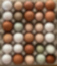 306729600_5670584796306525_3163193720834232762_n.jpg
